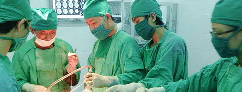Hình 4