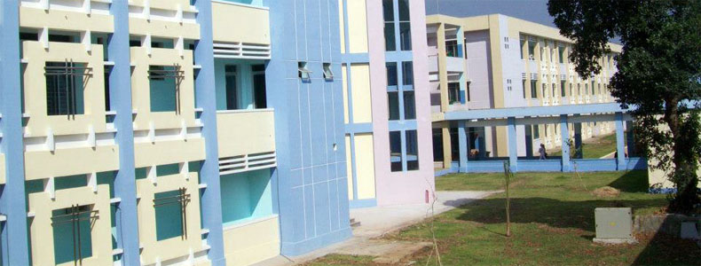 Hình 5